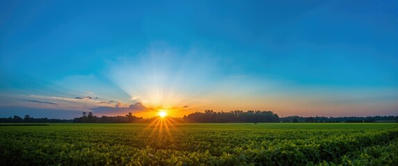 Sunrise over a clear blue sky