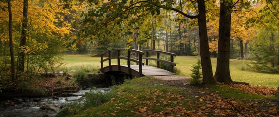 Wooden bridge for walking in Minnesota park