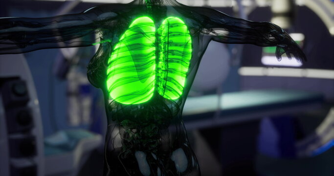 Bright green lung hologram in scanner highlighting lobes and airway, pulmonology technician monitors oxygenation metrics on touchscreen console, translucent
