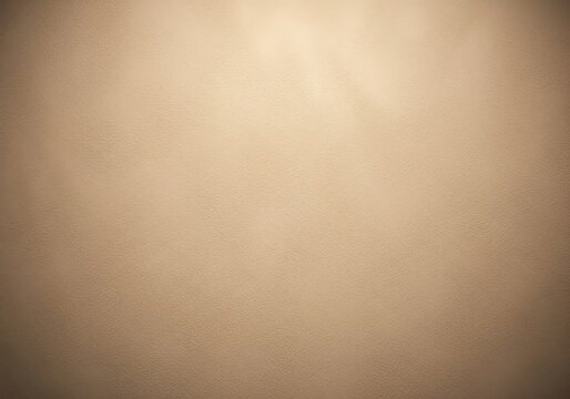 Luxurious and sophisticated light beige neutral background offering a smooth, soft, suede-like texture, ideal for elegant product display or backdrop, horizontal, pale, smooth