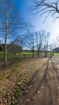 Villa Doria Pamphilj - Rome - Italy - Equirectangular 360 degree landscape - Loop video