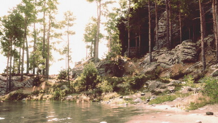 A Body of Water Surrounded by Trees and Rocks