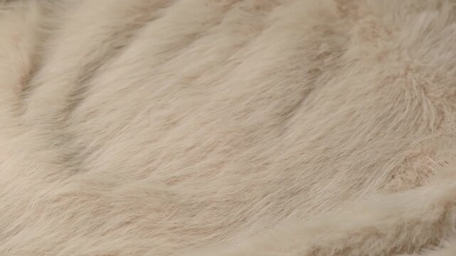 This soft light beige fluffy faux fur textile fabric offers a natural texture background pattern