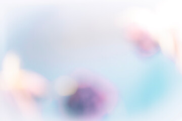 Obraz premium Violet and Blue Soft Abstract Blur with Clean Light