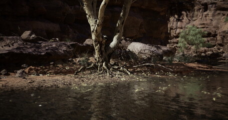 A tree stands resilient by the riverbank, its roots exposed amidst rocky terrain. Surrounding vegetation adds a touch of life to the serene water setting during afternoon light. © icetray