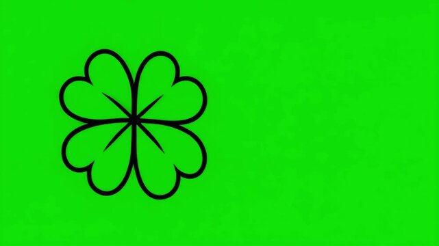 Four leaf clover moving on empty green screen background. Black lines flat lay top view on green background with copy space. Stop motion animation Saint Patrick Day concept