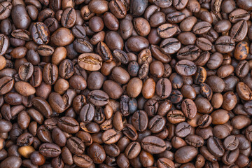 Fototapeta premium Barista prepares warm roasted coffee beans, Shiny oils and tactile textures highlight cafe morning mood, Close view of roasted beans with glossy oils for specialty cafe ambiance