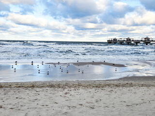 Plaża, Mewy, Molo, Międzyzdroje, Morze Bałtyckie, Zima © justyna
