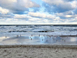 Plaża, Mewy, Morze Bałtyckie, Zima © justyna