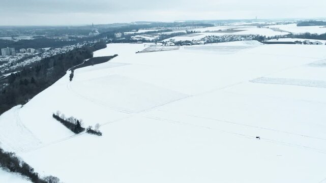 Forward drone flight above wide snow-covered fields near Elchingen, with forest edge, distant village, and winter horizon under overcast sky.
