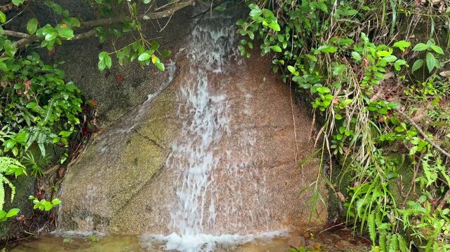 Slow motion footage of water pouring down granite stone in troise frere mountain trail, Mahe, Seychelles 25fps.
