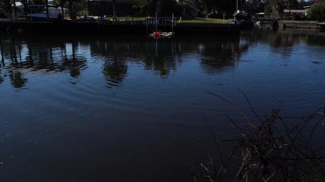 A beautiful water surface with many reflections of trees, creating a lovely perspective. The water moves slightly and is rather calm.