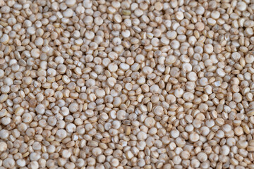 Fototapeta premium Detailed view of natural beige quinoa seed surface and texture, Macro photograph highlighting intricate surface pattern and nutritional qualities of raw organic quinoa