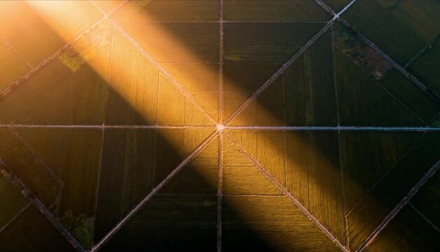 aerial top down symmetric fields with sunrise highlight perfect for spring equinox