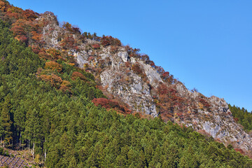 Obraz premium 埼玉県秩父 紅葉の山