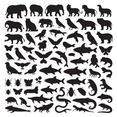 Black Animal Silhouette Collection with Mammals, Birds, Fish, Insects, and Reptiles Icons