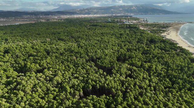 Top view of endless evergreen forest covering the mountain slopes. A natural green pattern created by tree crowns. Ideal for eco-friendly concepts, oxygen production, and nature-themed backgrounds.
