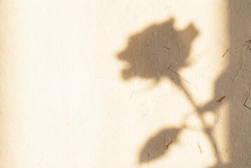 Soft shadow of a single rose flower cast on warm beige textured paper background evoking a calm morning mood for Valentine's Day