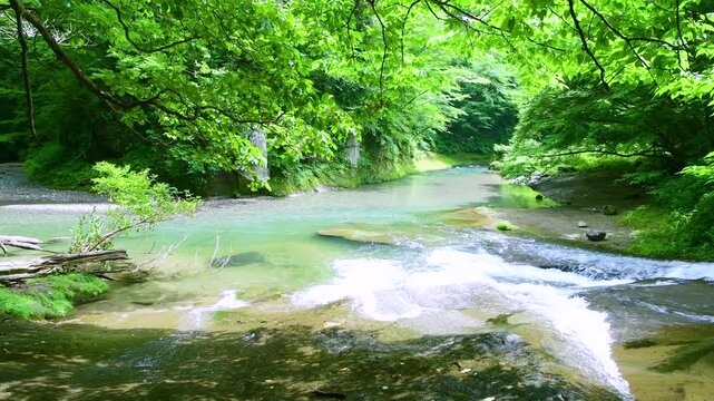 福島県西白河郡西郷村　黒土川と阿武隈川の合流地点