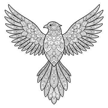 Intricate Flying Bird Mandala Coloring Page for Adults - Zentangle Style Art