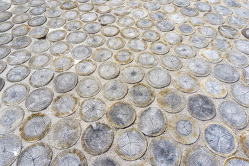 Sustainable End Grain Wood Paving Detail at Helsinki Biennial Pavilion in Finland featuring Circular Log Slices and Organic Surface Texture