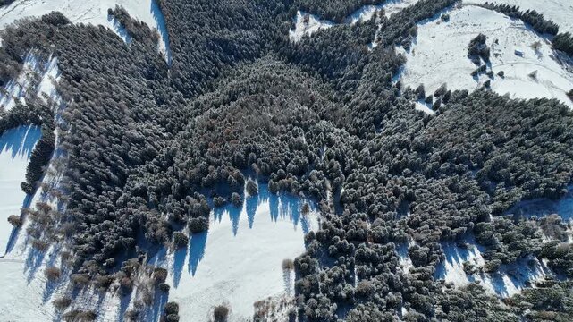 Foresta innevata dall'alto