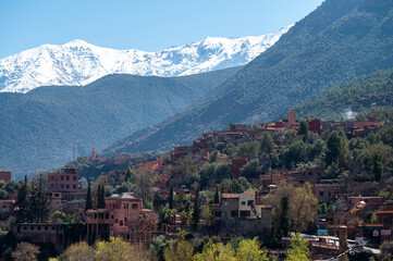 Obraz premium Mountains of Atlas loom over village in Morocco with rich greenery and snow-capped peaks
