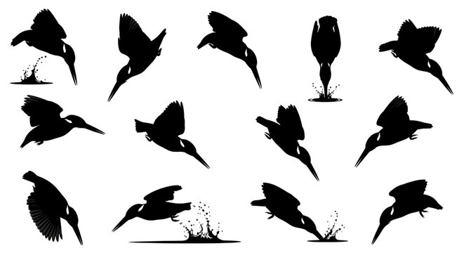 Kingfisher Bird Diving Silhouette Vector Set