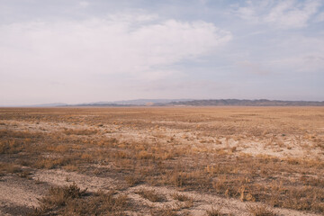 Vast arid plain with dry grass and distant mountains under a pale sky. Minimalist desert landscape, open space, natural colors, calm atmosphere, wilderness and isolation concept. © Владимир Трубачёв