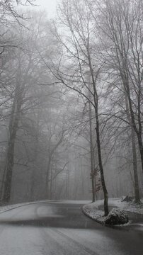 Schlechte Stra&szlig;enverh&auml;ltnisse bei Schneefall an einem Grauen Wintertag, Schnee rieselt auf eine asphaltierte Stra&szlig;e im Wald