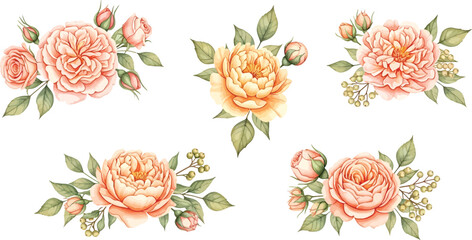 Beautiful watercolor peach roses and peonies with delicate green leaves and berry clusters, elegantly arranged on a clean white background.