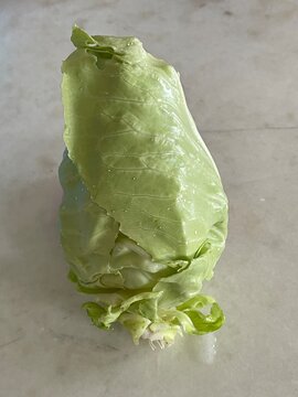 A close-up shot of a single fresh pointed cabbage Brassica oleracea on a light surface, highlighting the unique conical shape and crisp green leaves.