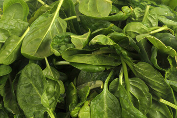 Fond de feuilles d'&eacute;pinards fra&icirc;ches en gros plan