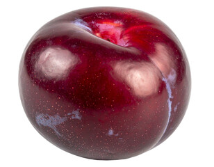 Obraz premium A single, ripe, dark red plum with a smooth, glossy surface and subtle blue undertones