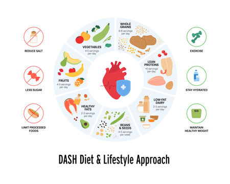 DASH diet and healthy lifestyle infographic. Food plate vector flat illustration. Symbols of various food groups in circle shape frame. Design for health and nutritional education.