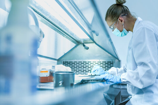Scientist working inside flow biosafety cabinet. Pathologist team preparing tissue biopsy cassettes for histology processing. Scientists  handling medical samples in sterile laboratory hood.