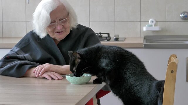 Old woman is feeding her cat. Friends