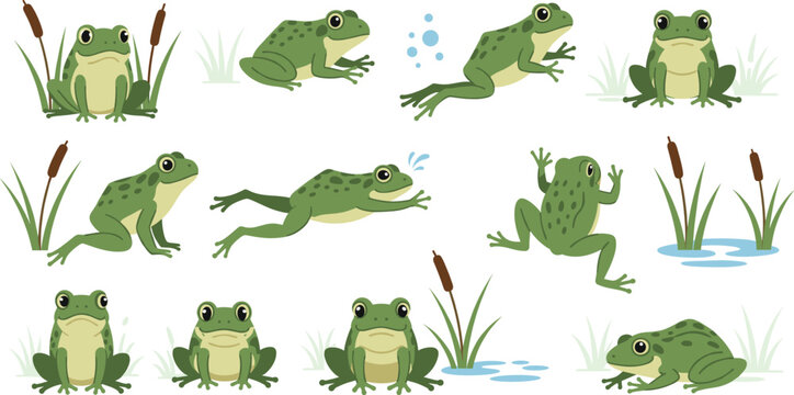 Cute Green Frog Character Set In Different Poses Nature Animal Vector Illustration