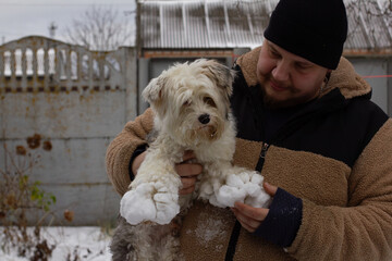 A dog with snow stuck to its paws after a walk. A man holds a fluffy dog, carefully removing nasty...