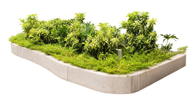 A garden bed features various plants in a flat layout. The plants are arranged on a concrete border. The setting shows a mix of greenery that can be used for landscaping