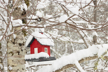 Red Bird Feeder Covered in Snow on a Tree in a Winter Forest
