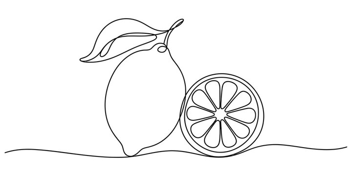 Continuous line art drawing of a fresh lemon and a lemon slice on a white background Vector, illustration