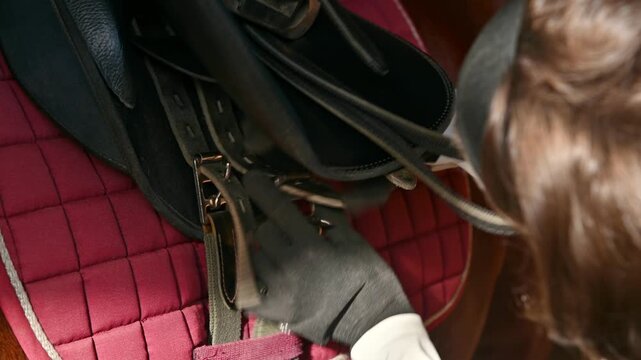 A close-up of a young woman buckling the saddle on her horse. Grooming a horse at a stable.