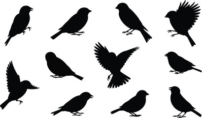 Fototapeta premium Group of small black bird silhouettes in various poses like flying and perching