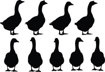 Silhouette set of geese in standing and walking poses, farm and wild birds illustration isolated on white background poultry wildlife collection © parves's world