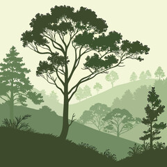 Obraz premium Serene forest landscape