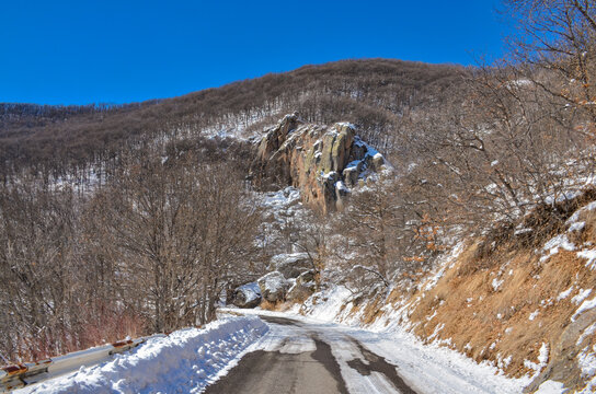 winter forest and road in Arpa river canyon near Jermuk (Vayots Dzor, Armenia)