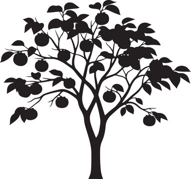 Persimmon fruit tree silhouette with heavy round fruits and lush canopy ideal for organic farming concepts autumn harvest themes and botanical garden graphic designs on white background