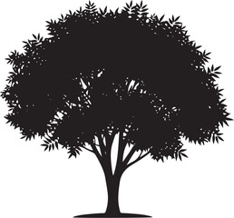 Fototapeta premium Black and white vector silhouette of a generic leafy deciduous tree featuring a dense round canopy and slender trunk isolated on a plain white background for design