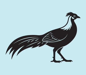 Fototapeta premium Silver Pheasant The Elegant White-Plumed Beauty of the Southeast Asian Forests vector silhouettes illustration design 